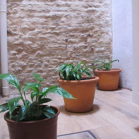 The Green Balcony Seville Exterior photo